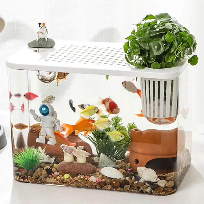 Fish Tank Aquarium Turtle Tank Aquarium Goldfish Tank Fish Bowls Small Aquariums