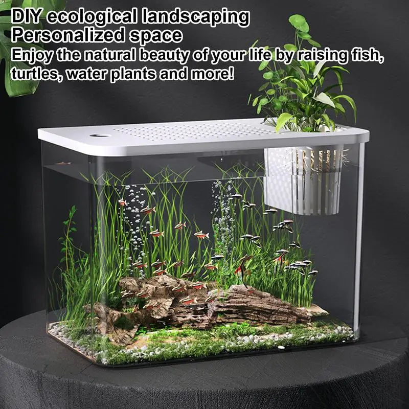 Fish Tank Aquarium Turtle Tank Aquarium Goldfish Tank Fish Bowls Small Aquariums