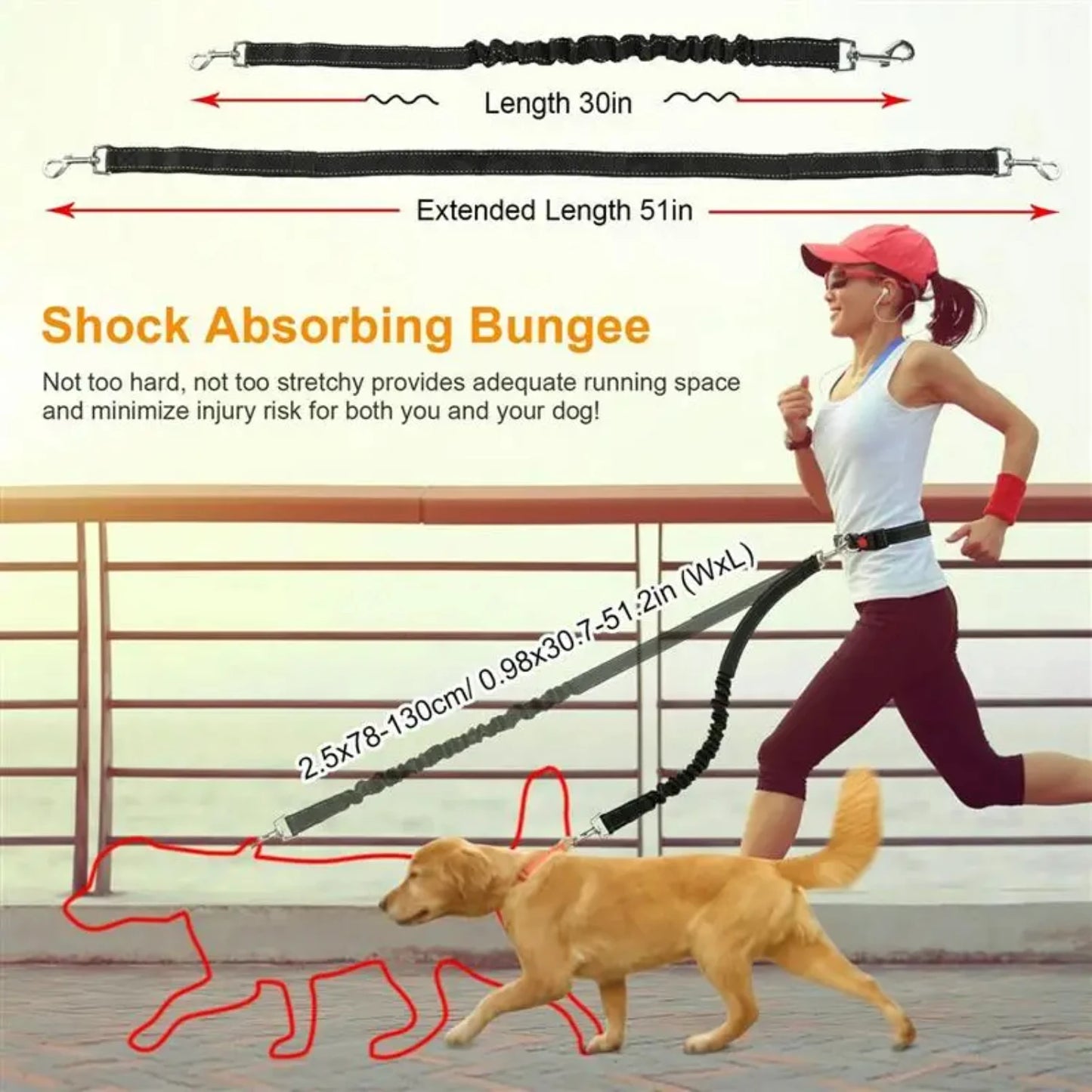 Comfortable, Secure, and Ultimate Top Choice Adjustable Bungee Dog Leash Harness