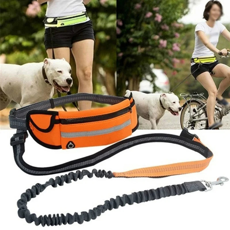 Pet Dog Leash Running Multi-functional Belt Bag Harness Collar Jogging Leading Adjustable Leashes