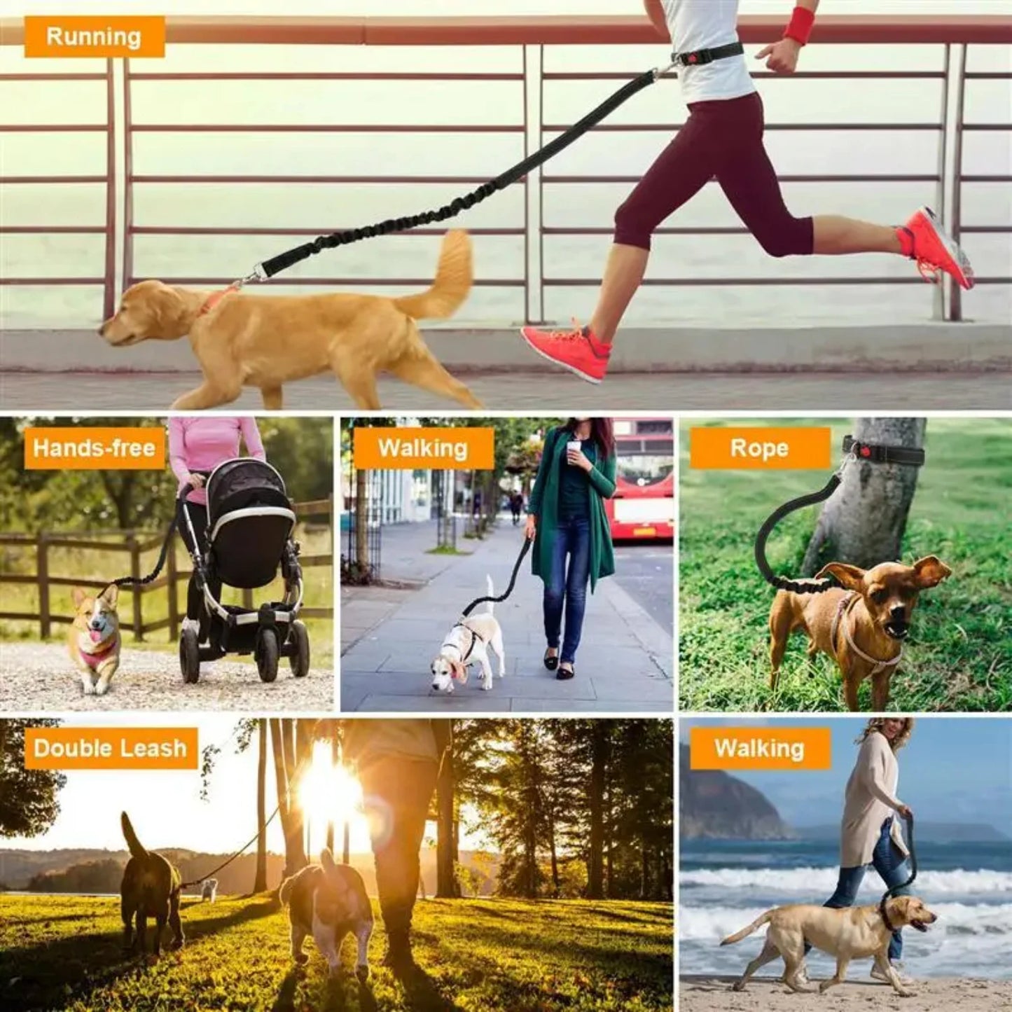 Comfortable, Secure, and Ultimate Top Choice Adjustable Bungee Dog Leash Harness