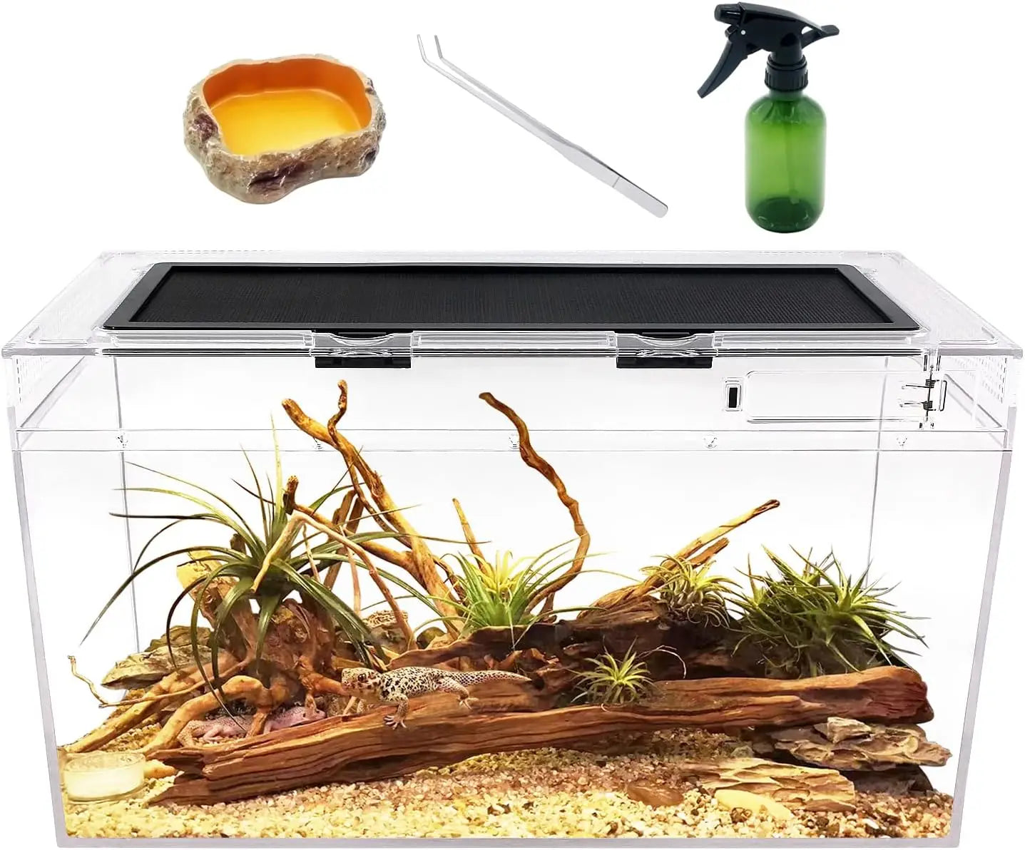 Terrarium,10 Gallon Reptile Tank 20" x 10"x 11",Fish,Tarantula,Jumping Spider,Iguana,Tortoise