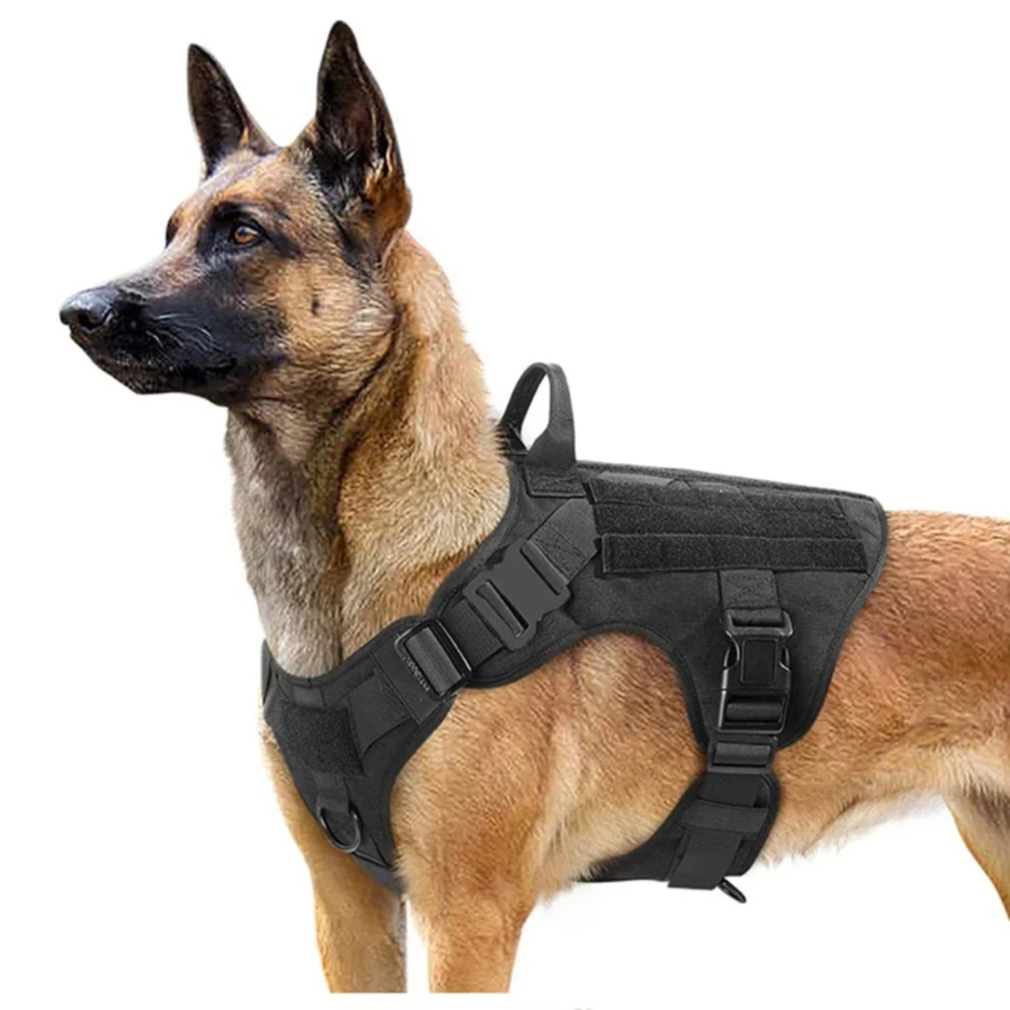 Tactical Dog Harness Pet Training Vest Dog Harness and Leash Set Small Medium Large Dogs