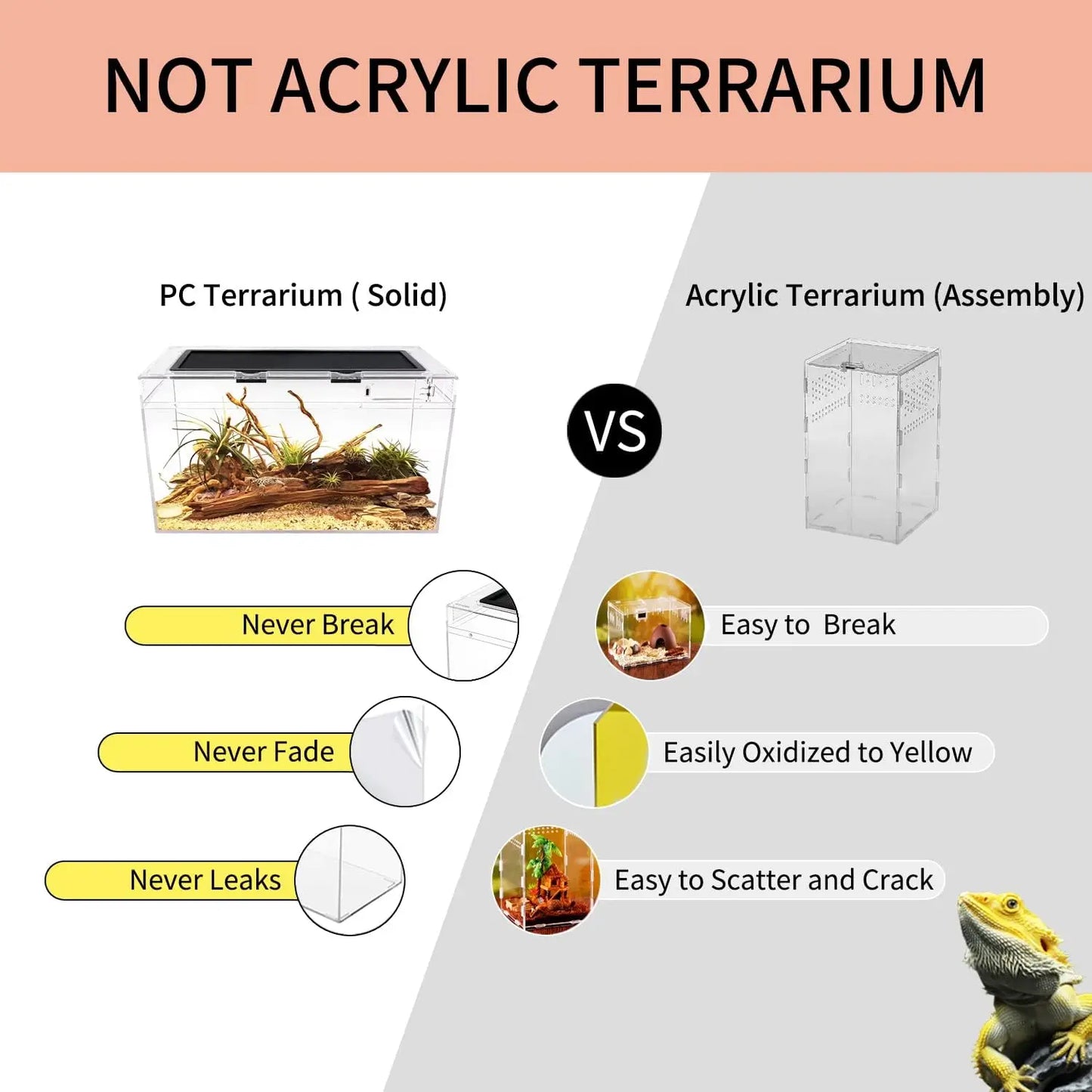 Terrarium,10 Gallon Reptile Tank 20" x 10"x 11",Fish,Tarantula,Jumping Spider,Iguana,Tortoise