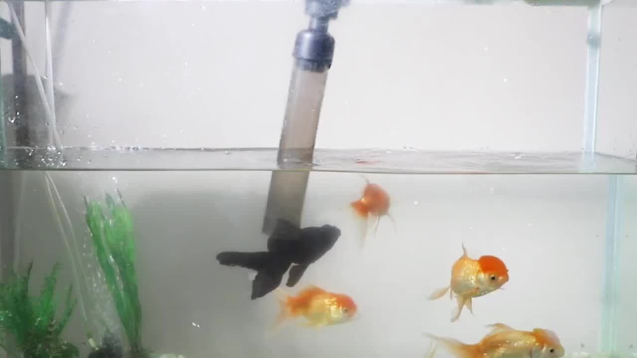 Electric Aquarium Gravel Cleaner, 6 In 1 Multifunctional 18W Fish Tank Gravel Cleaner