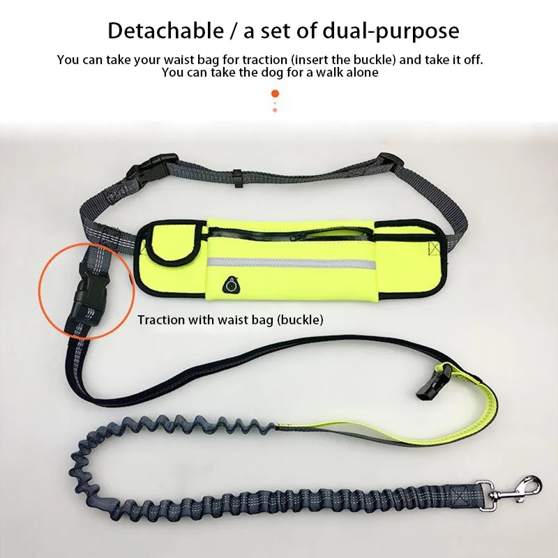 Pet Dog Leash Running Multi-functional Belt Bag Harness Collar Jogging Leading Adjustable Leashes