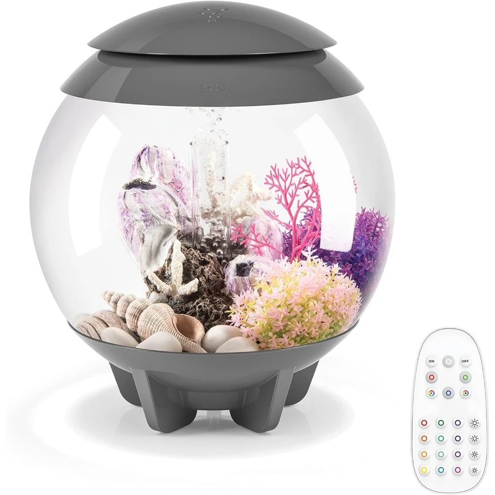 Mini Aquarium Modern Compact Water Tank for Desktop or Desktop Display Fish Tank