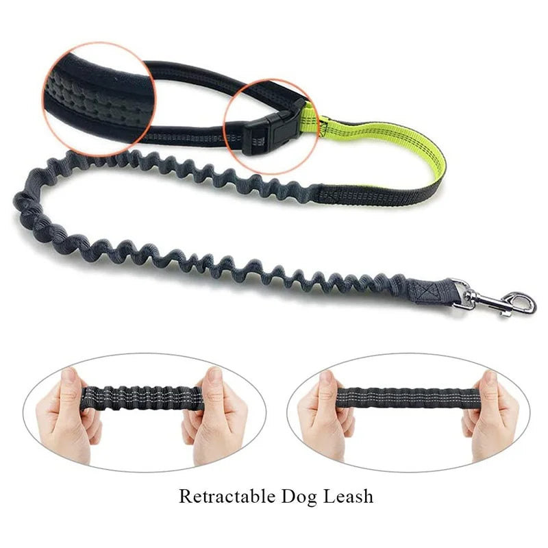 Pet Dog Leash Running Multi-functional Belt Bag Harness Collar Jogging Leading Adjustable Leashes