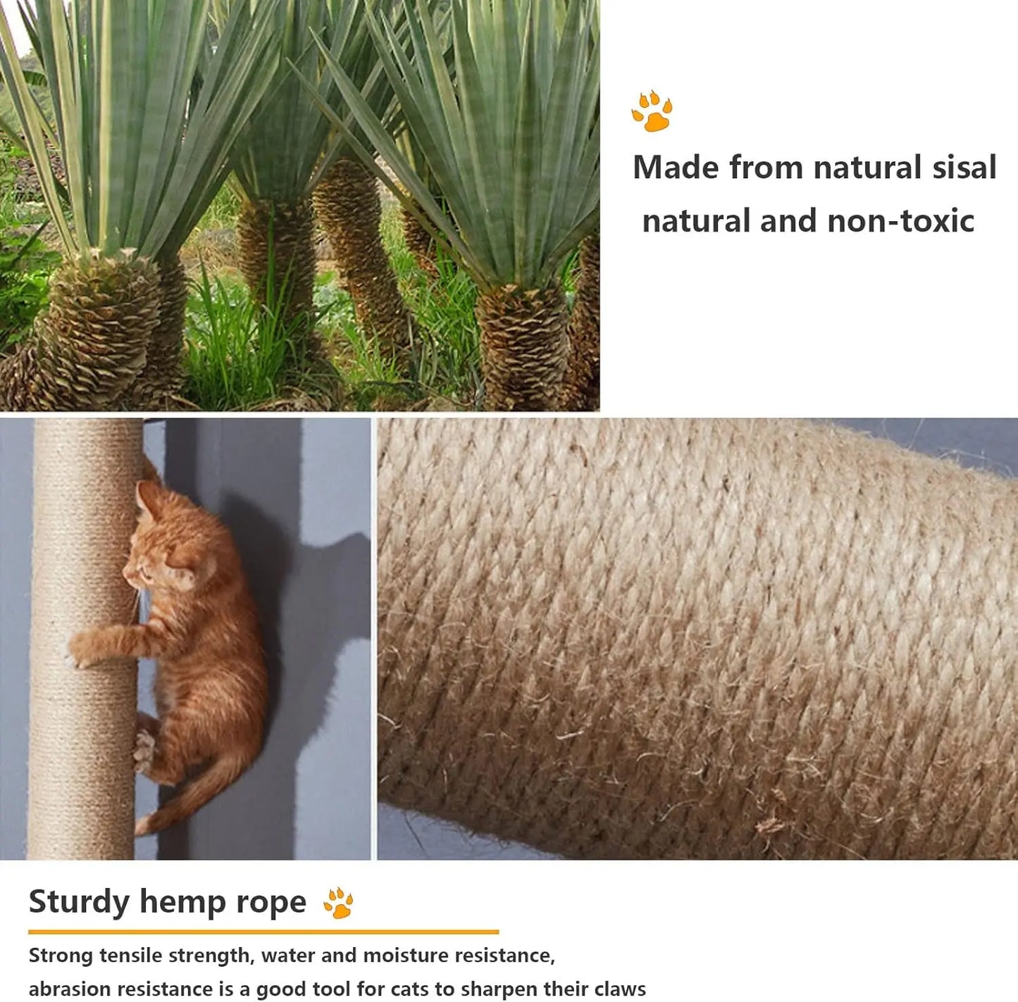 Cat Wall Shelves, Wall Furniture, Shelves and Perches for Wall,  Wall Steps Set with 4 Condos House