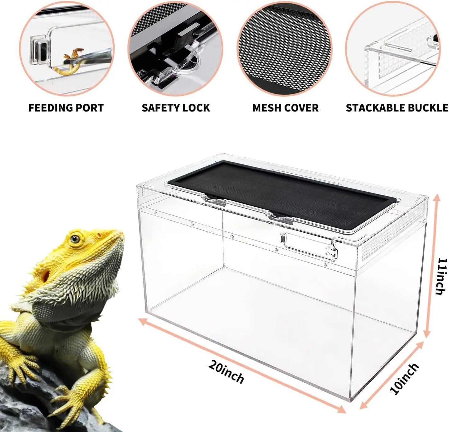 Terrarium,10 Gallon Reptile Tank 20" x 10"x 11"，Fish，Tarantula，Jumping Spider，Iguana，Tortoise