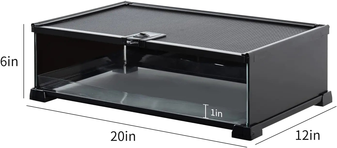 Small Tank 20" x 12" x 6" Glass Reptile Terrarium with Top Feeding Reptile Habitat