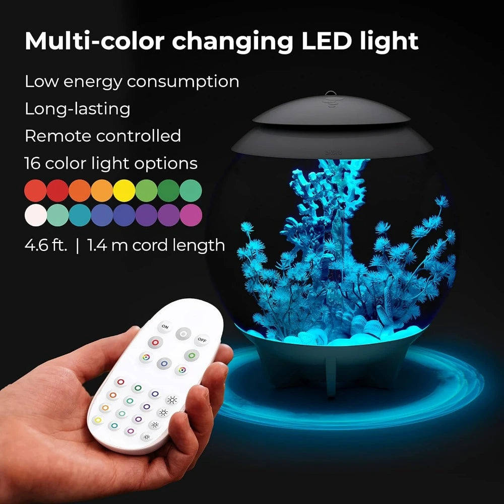 Mini Aquarium Modern Compact Water Tank for Desktop or Desktop Display Fish Tank