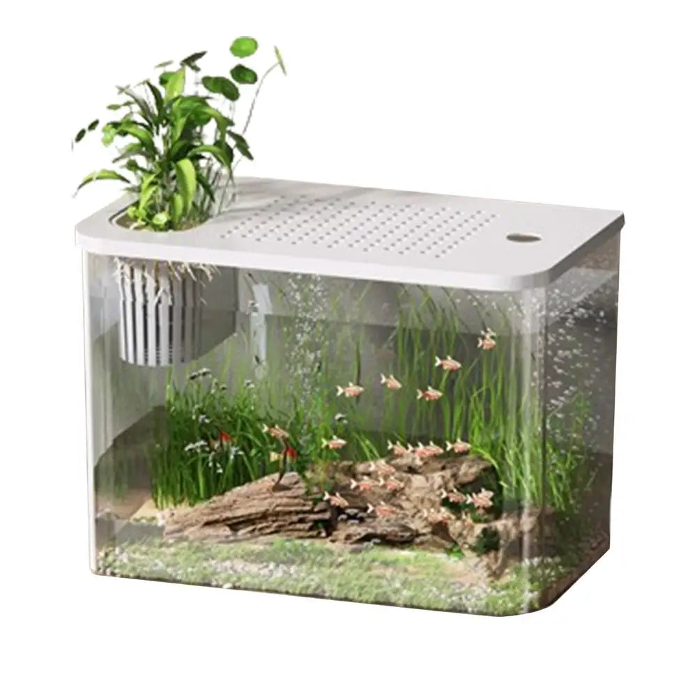 Fish Tank Aquarium Turtle Tank Aquarium Goldfish Tank Fish Bowls Small Aquariums