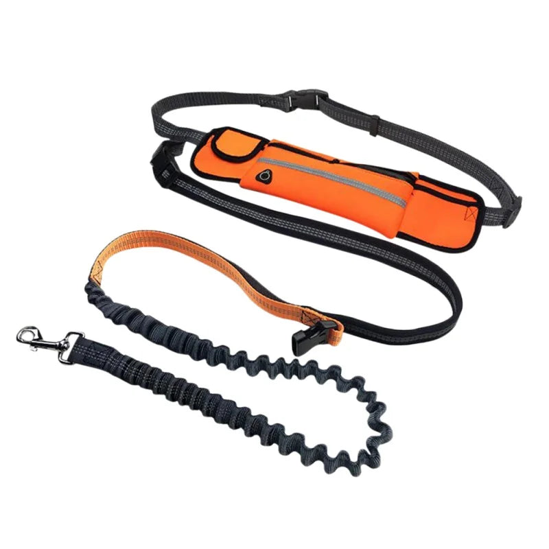 Pet Dog Leash Running Multi-functional Belt Bag Harness Collar Jogging Leading Adjustable Leashes