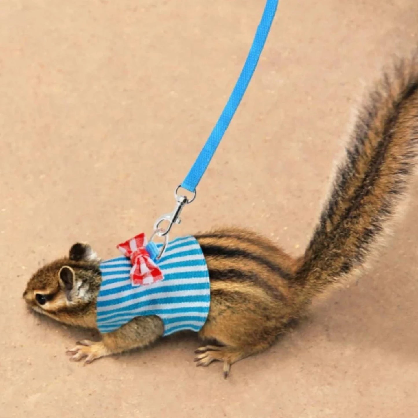 Small Pet Rabbit Harness Vest and Leash Set  Ferret Guinea Pig Bunny Hamster Puppy