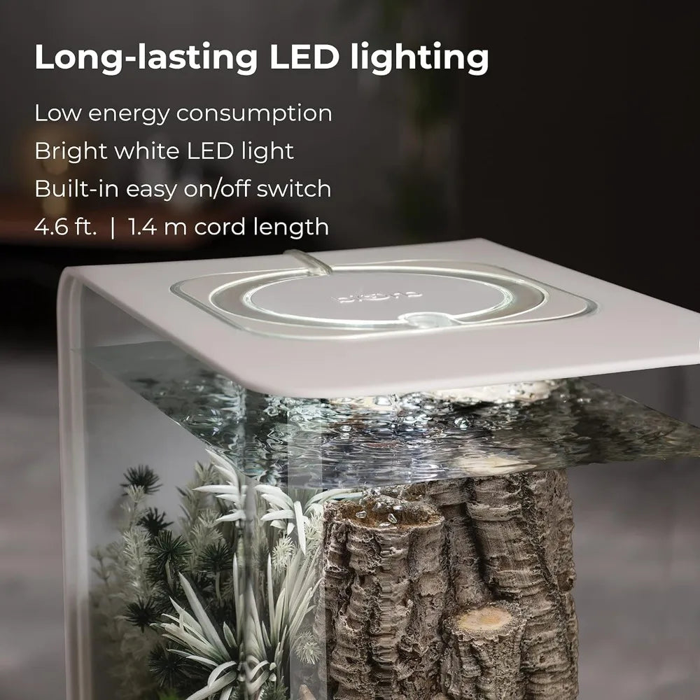 Acrylic Aquarium With White LED Light Modern Tank for Tabletop Display Fish Fishbowl