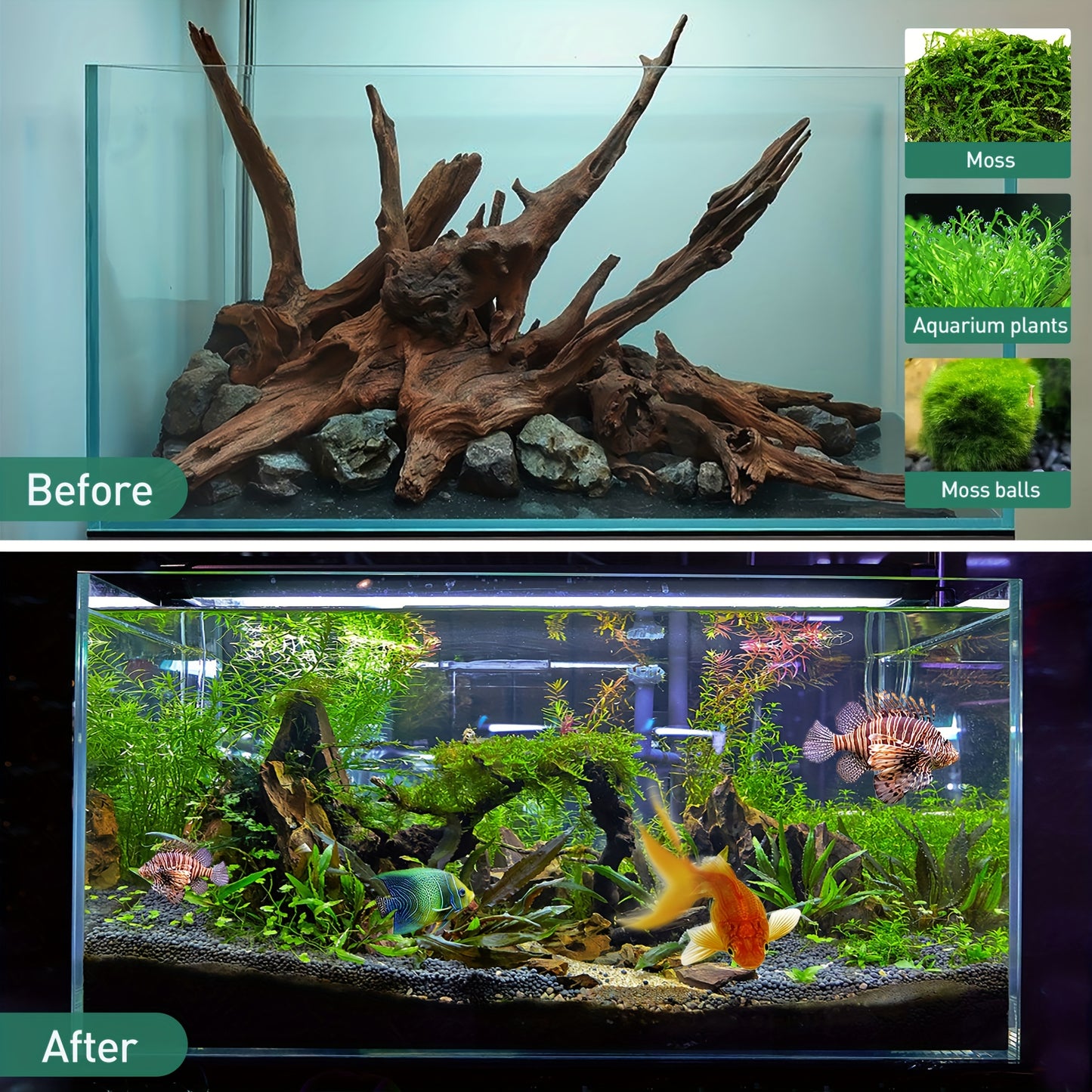 Natural Sunken Wood Aquarium Decoration for Fish Tank, Reptile Decoration, Size 9-14 Inches, 2pcs per Pack