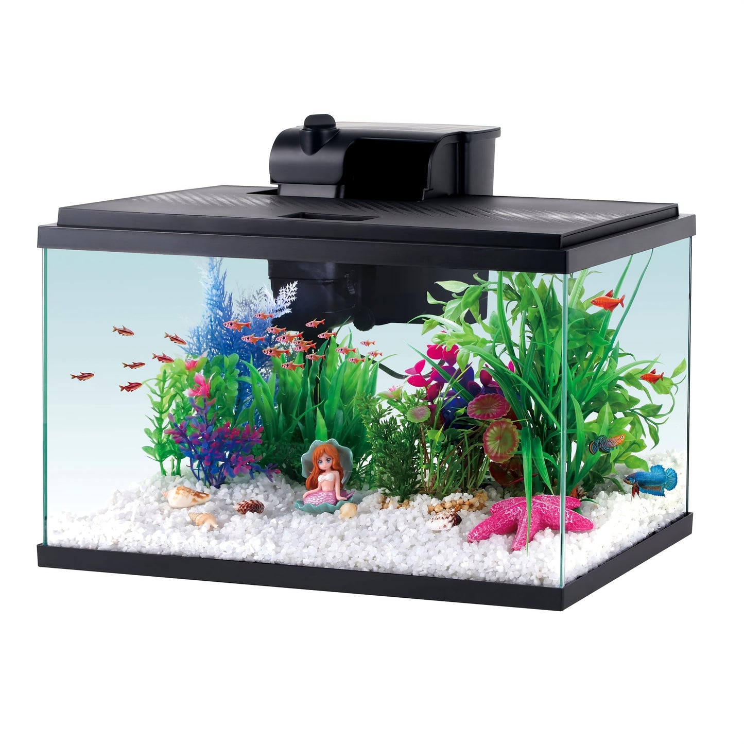 1pc 5 Gallon Glass Aquarium Starter Kit - Includes Filter, Pump - 16" L X 8.44" W X 10" H - Easy Setup